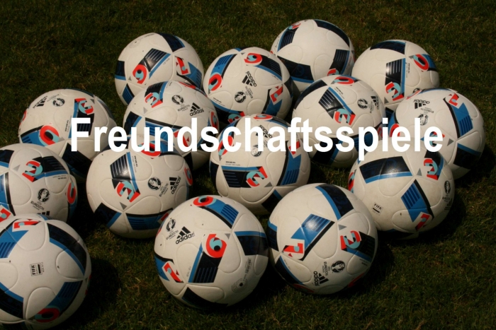 Pokal und Freundschaftsspiele