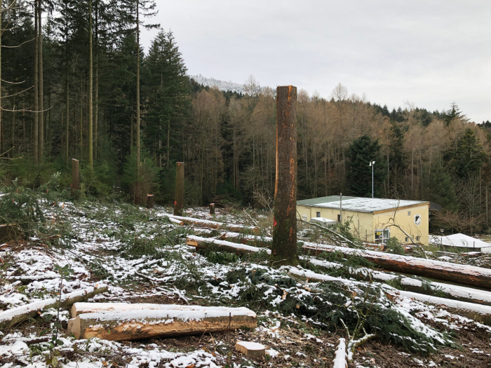 SVS – Kuppenheim II 4:0