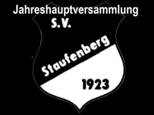 Ehrungen beim SVS