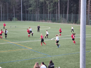 Neues aus der Damen und Mädchen-Front