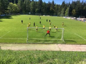 SVS kriegt die Kurve nicht